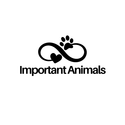 ImportantAnimals